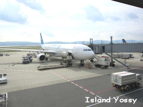 ガルーダ・インドネシア航空の飛行機