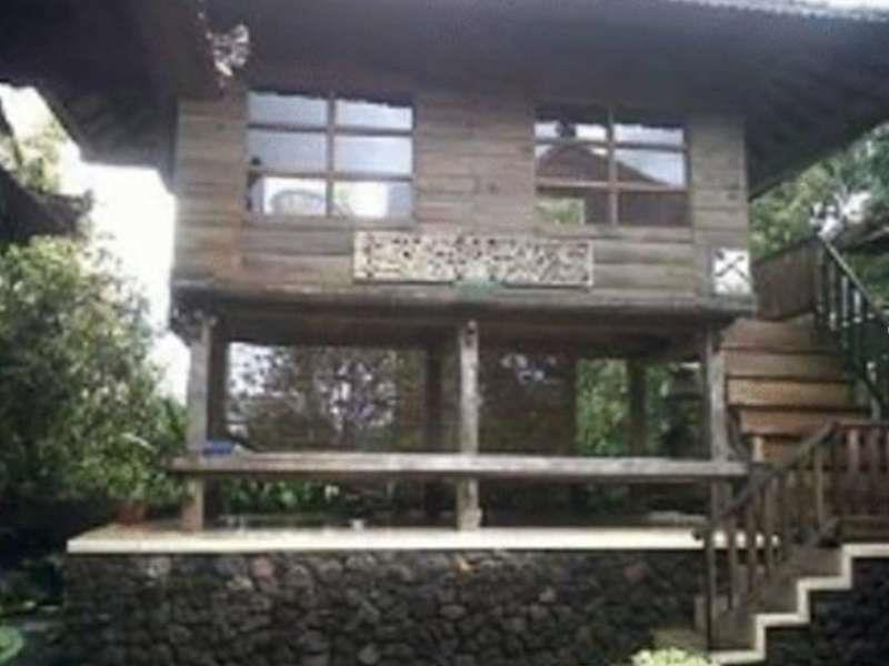 Munduk Sari Nature Villa ホテル詳細