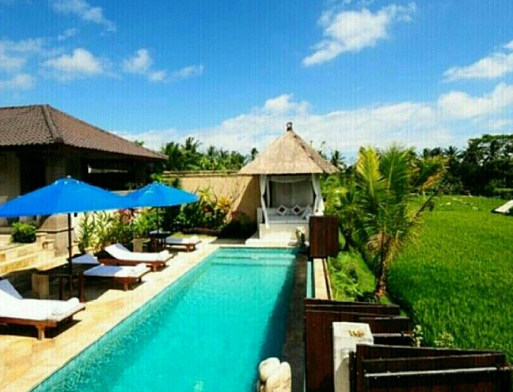 The Aura Ubud ホテル詳細