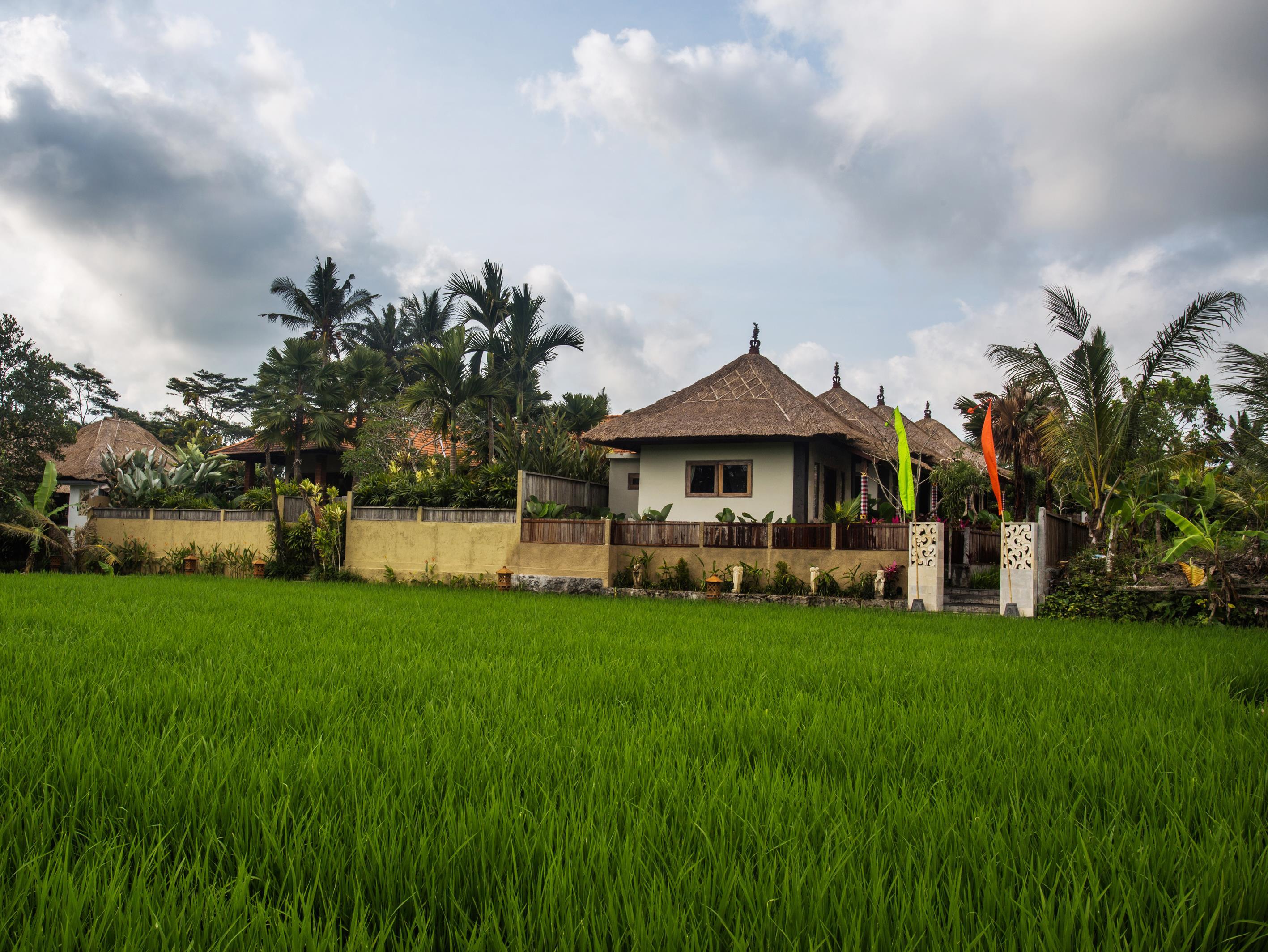 Ubud Luwih ホテル詳細