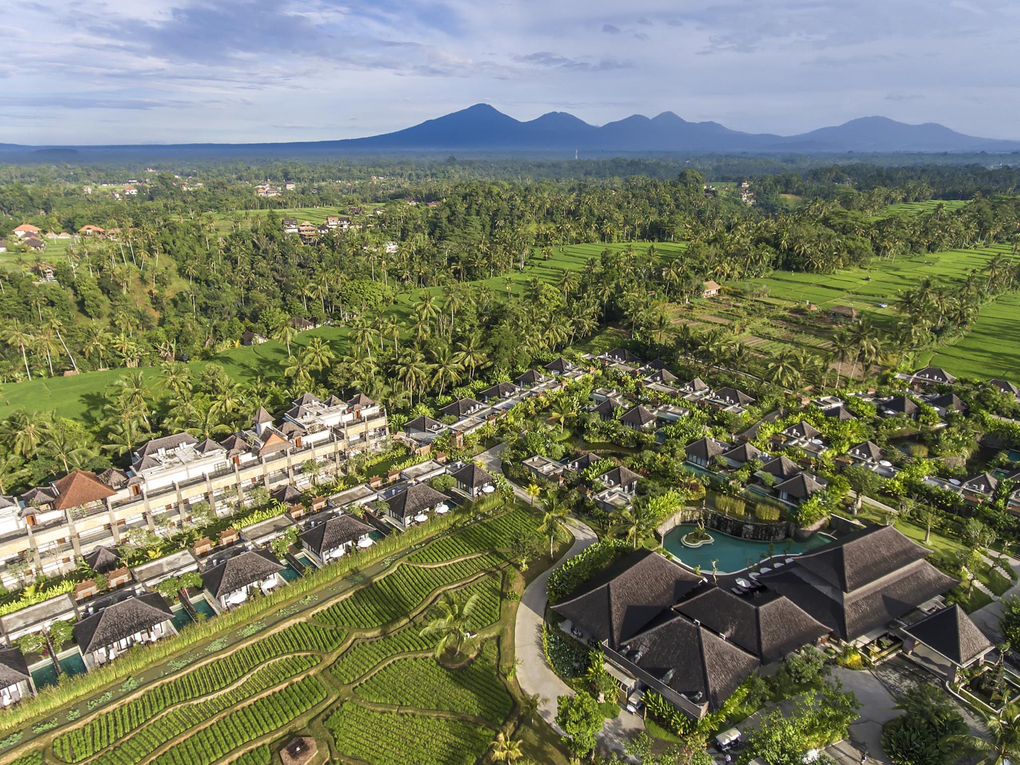 Visesa Ubud Resort ホテル詳細