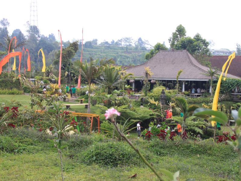 Warung Rekreasi Bedugul Hotel ホテル詳細