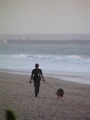 スミニャックビーチを散歩するセキュリティ犬