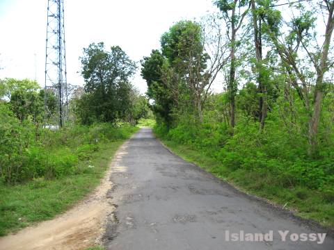 レンボンガン島の道路