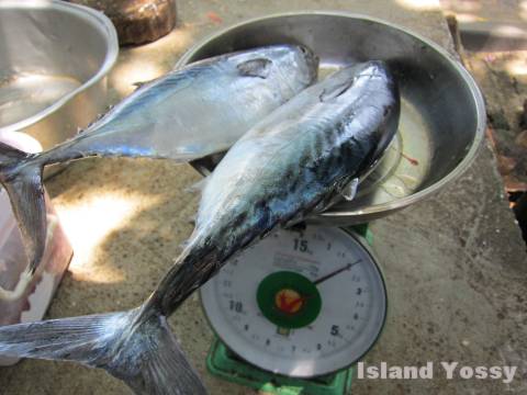 魚はすべて量り売り