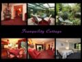 Aroma and Tranquility B & B Cottages ホテル詳細