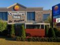 Comfort Inn On Raglan ホテル詳細