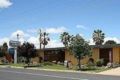 Cootamundra Gardens Motel ホテル詳細