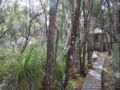 Southwest Wilderness Camp Tasmania ホテル詳細