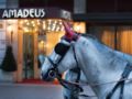 Hotel Amadeus ホテル詳細