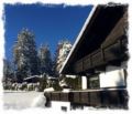 Hotel Sonnen Alp garni ホテル詳細