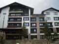 Lion Hotel Borovets ホテル詳細