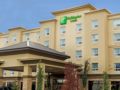 Holiday Inn Hotel & Suites-West Edmonton ホテル詳細