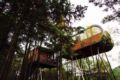 ZYJ Treehouse Land Huangshan Qiyun ホテル詳細