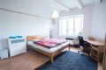 Cozy, modern, fully equipped apartment near center ホテル詳細