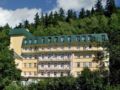 Spa hotel Vltava ホテル詳細