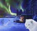 Arctic Fox Igloos ホテル詳細