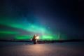 Lapland Northern Lights hotel Ilveslinna Ranua ホテル詳細