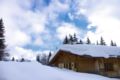 Chalet Alvine Megeve ホテル詳細