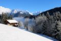 Chalet Ski Massif ホテル詳細