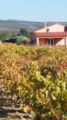 Gîte Au Milieu des Vignes ホテル詳細