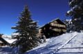 Résidence Odalys Les Chalets d'Aurouze ホテル詳細