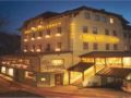 Alpenhotel Wittelsbach ホテル詳細