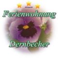 Ferienwohnung Dernbecher ホテル詳細