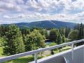 Four-Bedroom Apartment in Goslar-Hahnenklee ホテル詳細