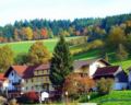 Hotel Gasthof Zur Krone Odenwald-Sterne-Hotel ホテル詳細