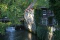 Hotel Restaurant Große Teichsmühle ホテル詳細