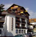 Panoramahotel Berghof ホテル詳細