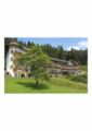 Wellnesshotel Basler Hof am Schlosswald ホテル詳細