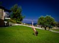 Paradise Familly House in Chalkidiki Chanioti ホテル詳細