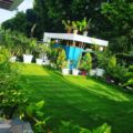 Forest Inn Homestay ホテル詳細