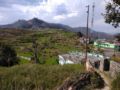 Himalayan view jungle paradise ホテル詳細