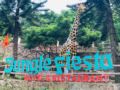 Jungle Fiesta Hotel & Restaurant ホテル詳細