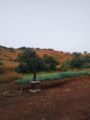 palace view mahabaleshwar ホテル詳細