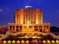 Radisson Blu Hotel New Delhi Dwarka ホテル詳細