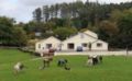 Muckross Riding Stables ホテル詳細