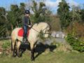 Letterfrack Farm Lodge ホテル詳細