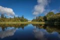 Lough Rynn Castle ホテル詳細