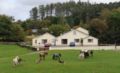 Muckross Riding Stables ホテル詳細