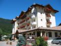 Corona Dolomites Hotel ホテル詳細