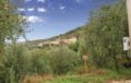 Holiday home Frazione Pieve ホテル詳細