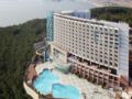 Youngjong Sky Resort ホテル詳細