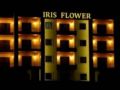 Iris Flower Hotel ホテル詳細
