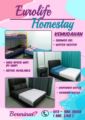 Eurolife Homestay ホテル詳細