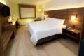 Holiday Inn Express And Suites Playa Del Carmen ホテル詳細