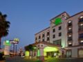 Holiday Inn Leon-Convention Center ホテル詳細